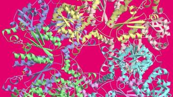 Ribbon diagram of a large, multimeric protein complex with pastel-colored subunits on a magenta background, featured on the Biochemistry journal cover.