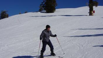 Skier navigating a gentle slope with ski poles in hand, under a clear blue sky.