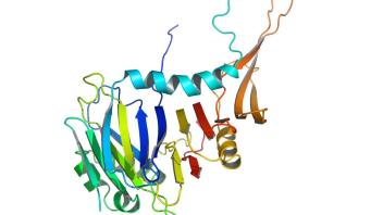 Protein structure with a rainbow-colored backbone, displaying multiple alpha helices and beta sheets.