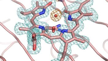 Electron density map highlighting a ligand in stick representation with surrounding mesh and coordination spheres.