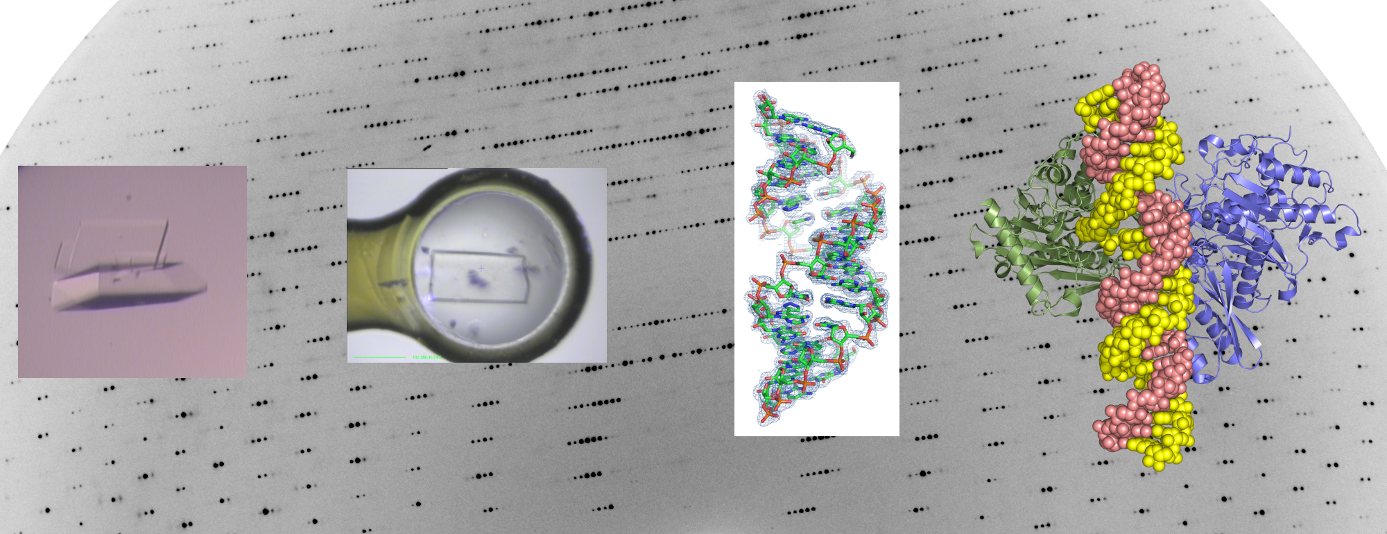Microscope image of structures